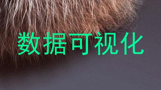 数据可视化