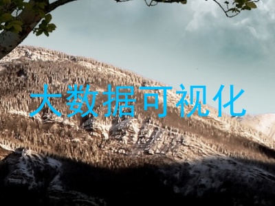 大数据可视化