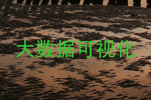 大数据可视化