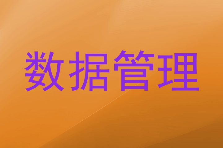 数据管理