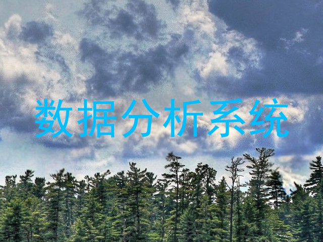 数据分析系统