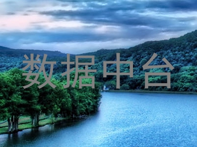 数据中台