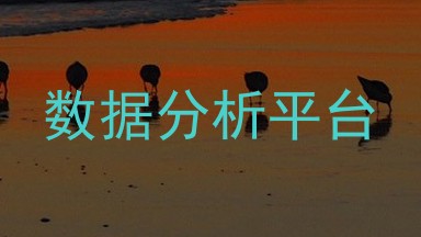数据分析平台