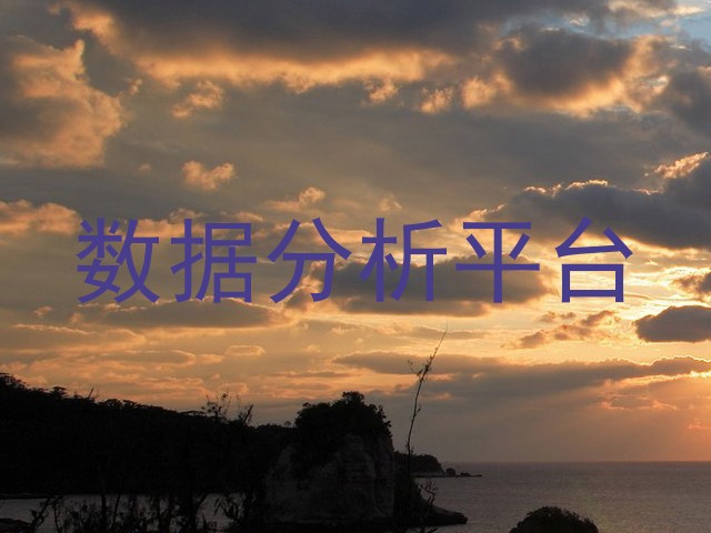 数据分析平台