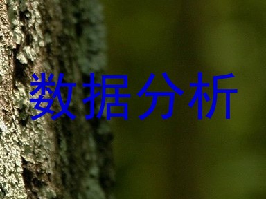 数据分析