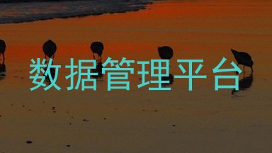 数据管理平台