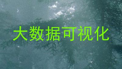 大数据可视化