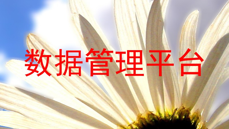 数据管理平台