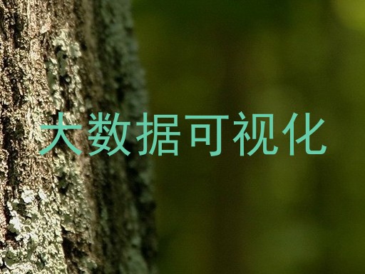 大数据可视化