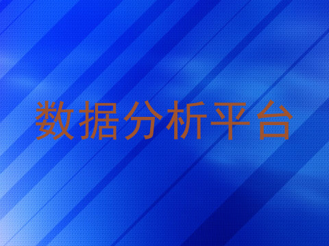 数据分析平台