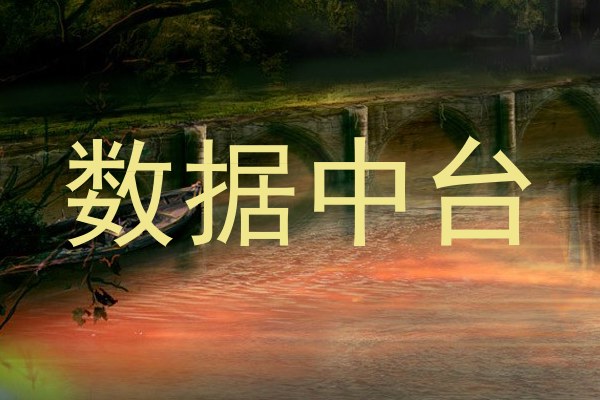数据中台
