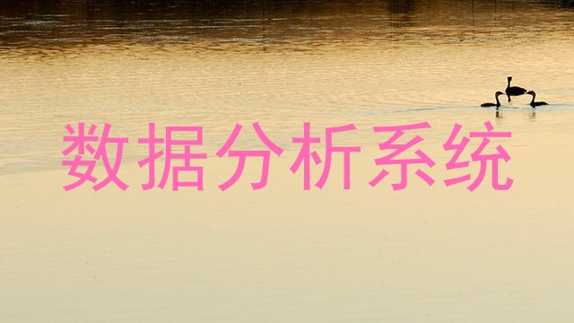 数据分析系统