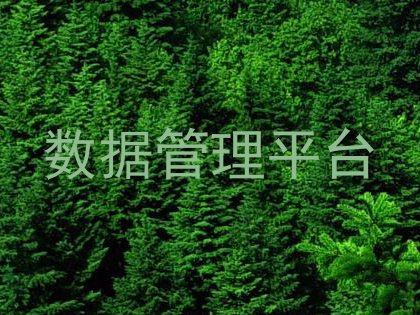 数据管理平台