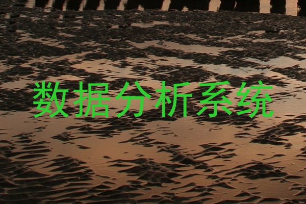 数据分析系统