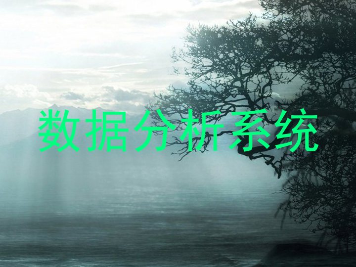 数据分析系统