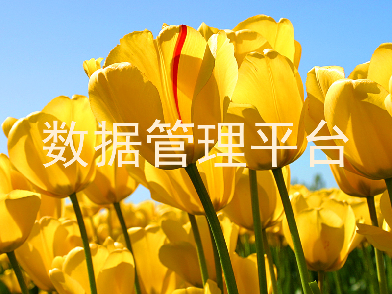 数据管理平台