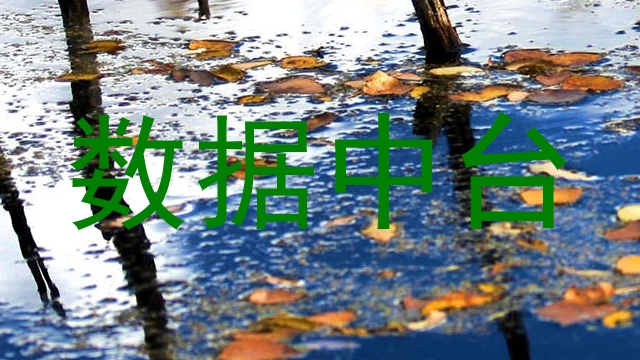 数据中台