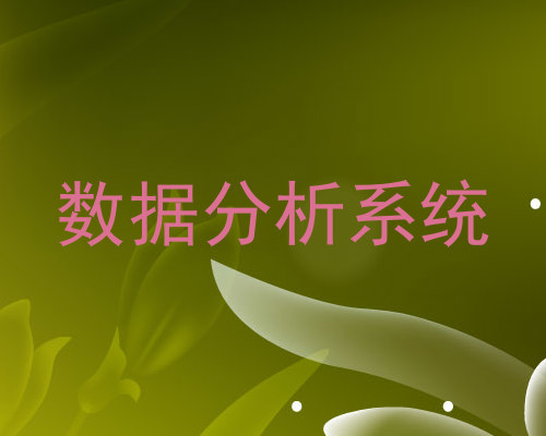 数据分析系统