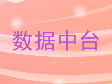 数据中台