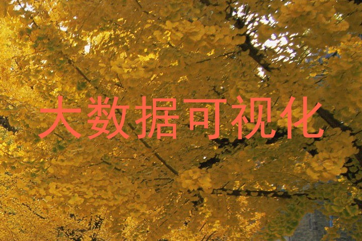 大数据可视化
