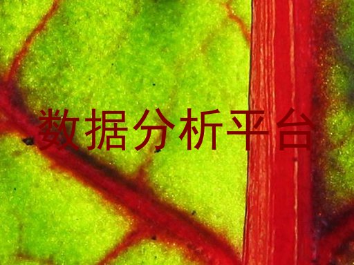 数据分析平台