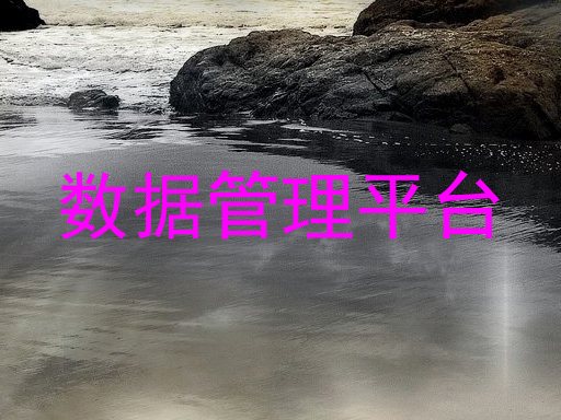 数据管理平台