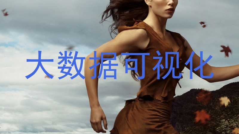 大数据可视化