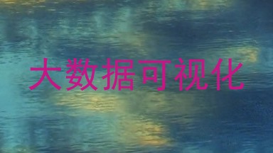 大数据可视化