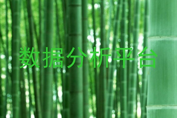 数据分析平台