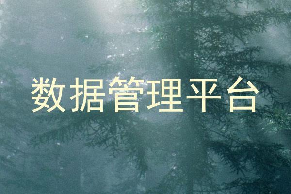 数据管理平台