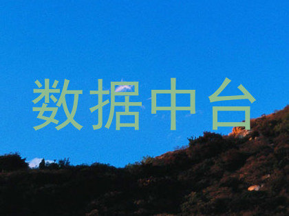 数据中台