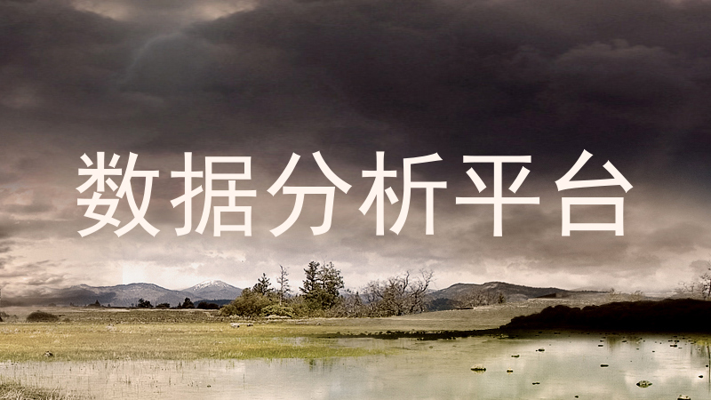 数据分析平台
