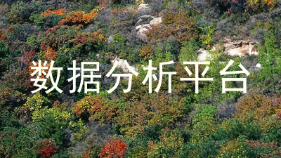 数据分析平台