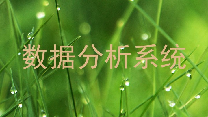 数据分析系统