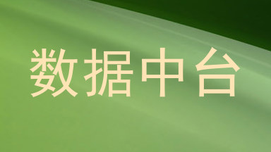 数据中台