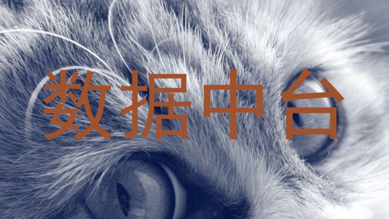 数据中台