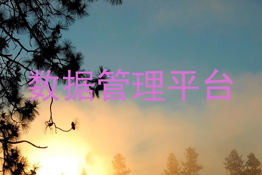 数据管理平台