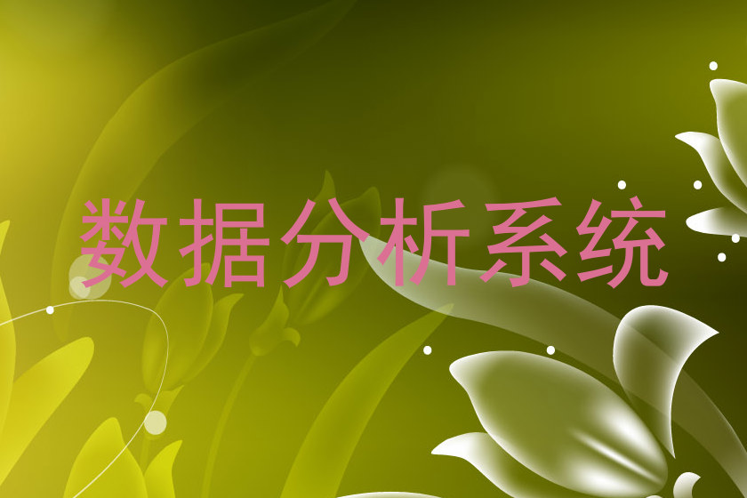 数据分析系统