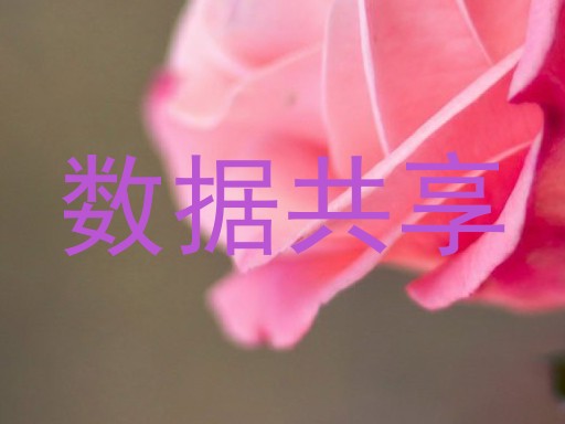 数据共享