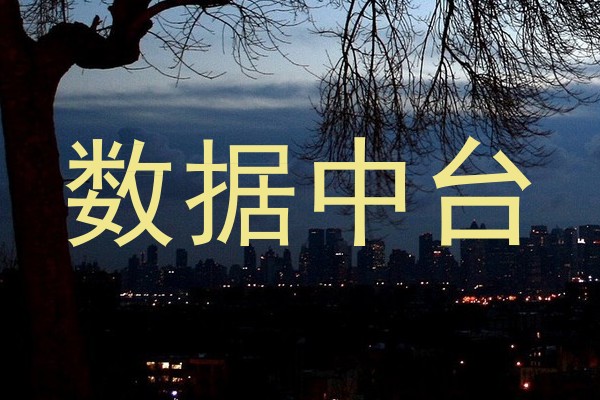 数据中台