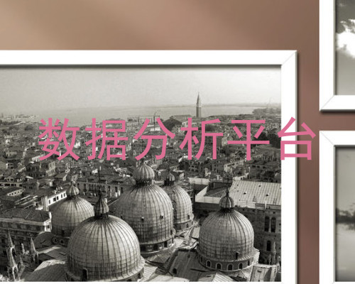 数据分析平台