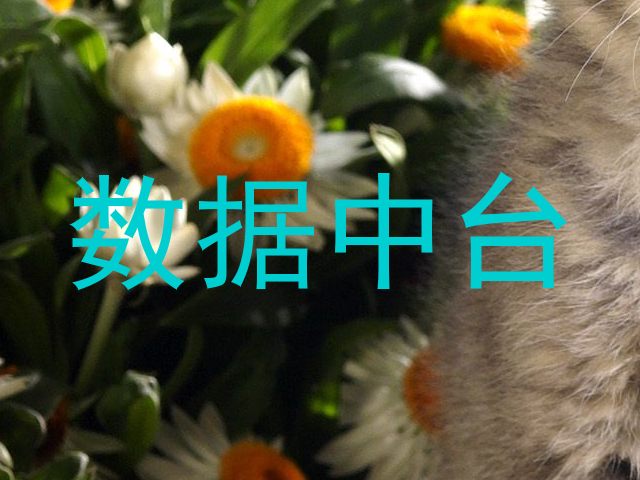 数据中台