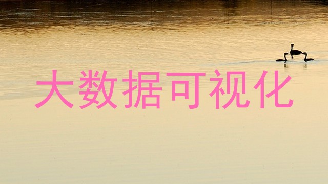 大数据可视化