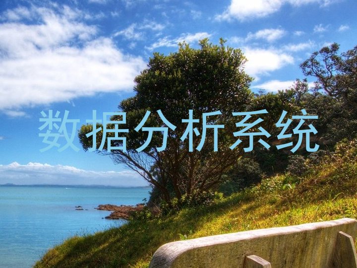 数据分析系统