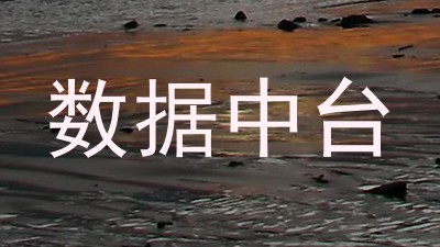 数据中台