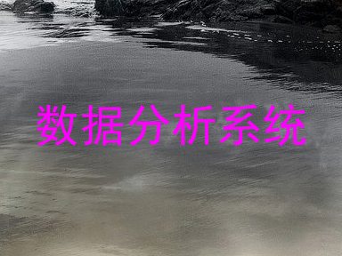 数据分析系统