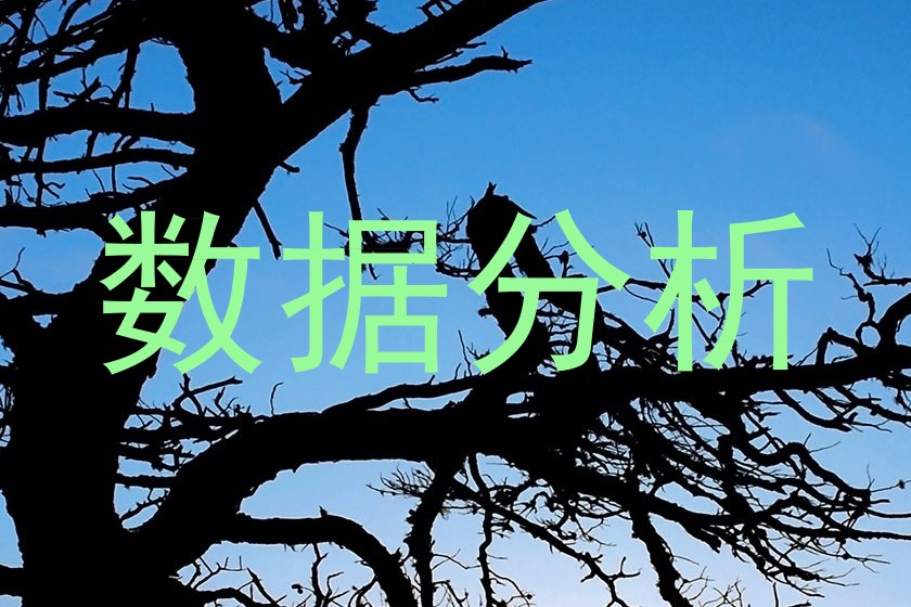 数据分析