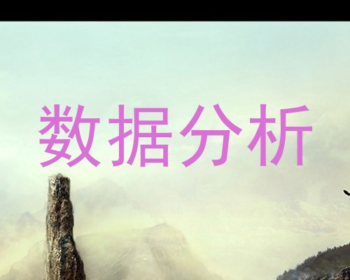 数据分析