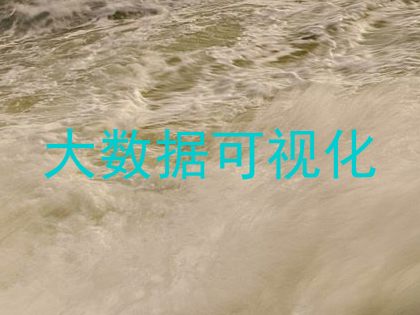 大数据可视化