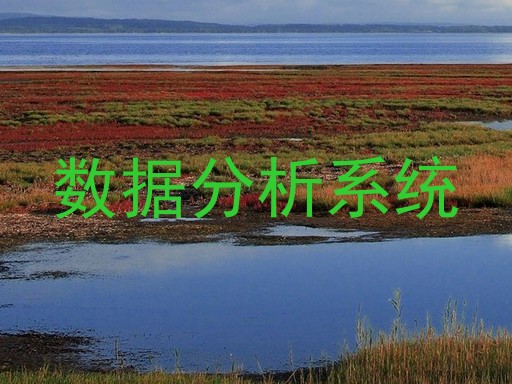 数据分析系统